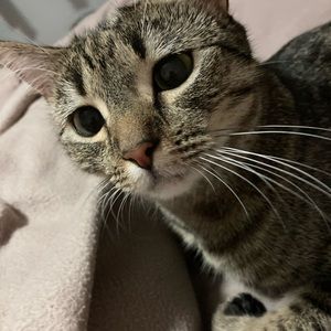 Meet your Posher, Ling-hsin